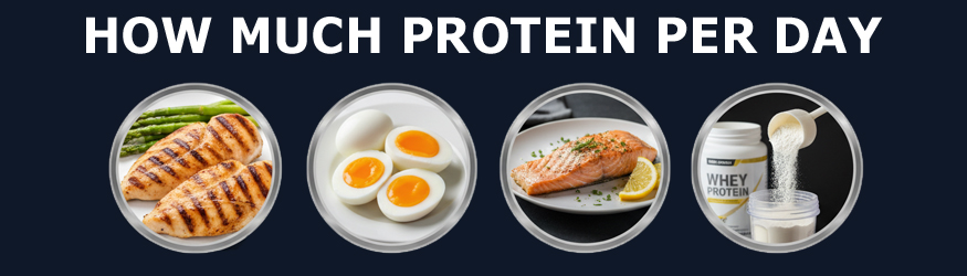 How much protein do you really need per day